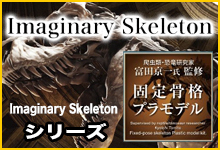 Imaginary Skeleton